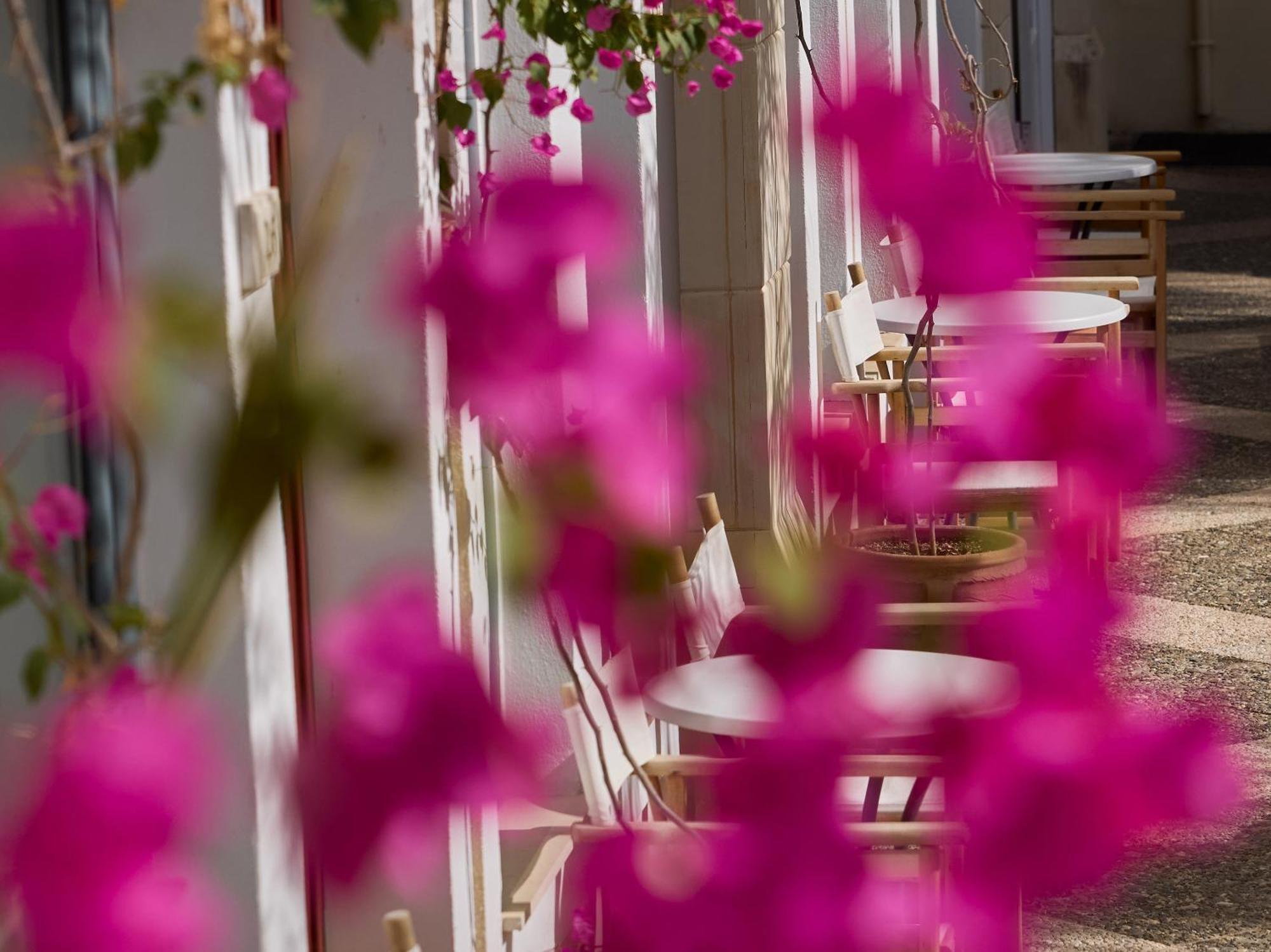 Grecotel Plaza Beach House Rethymno Exterior foto